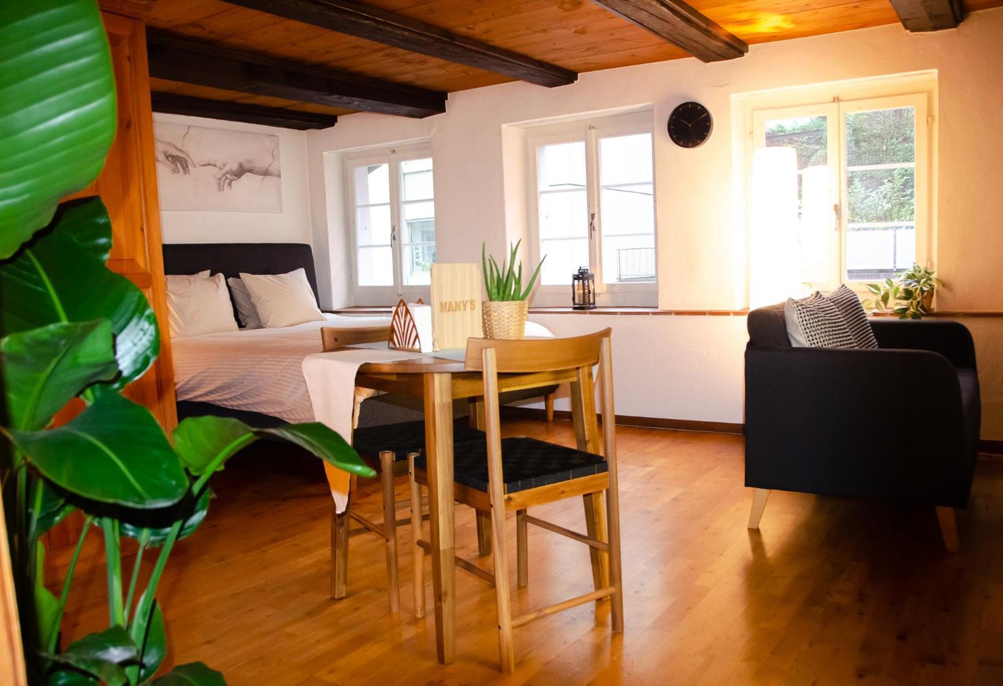 Many'S Historical City Central Apartments Zurigo Esterno foto